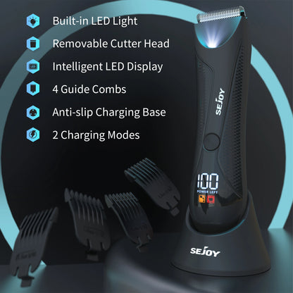 Electric Razor